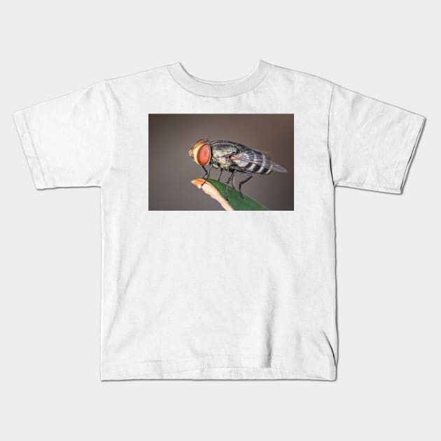 Macro photo of fly with big red eyes on a perch Kids T-Shirt by Geoff79